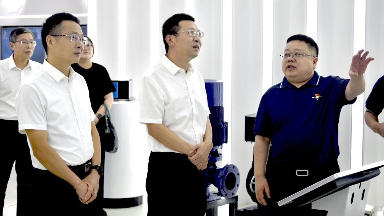 龙游县党政代表团调研盘毂