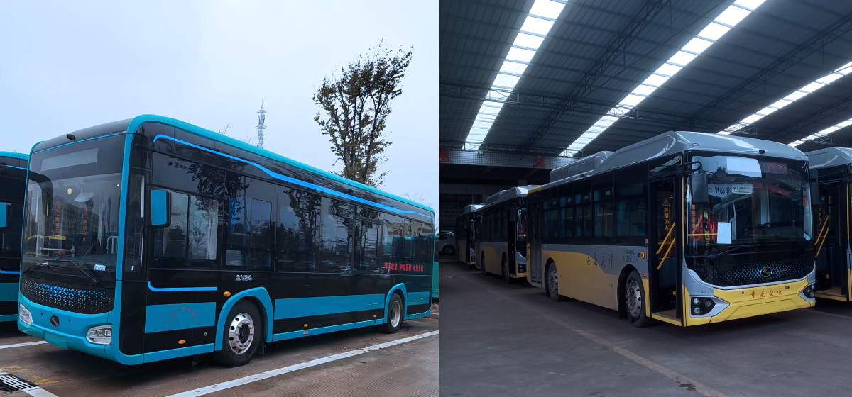 『地铁巴士』双城同时交付，推进公交适老化服务升级