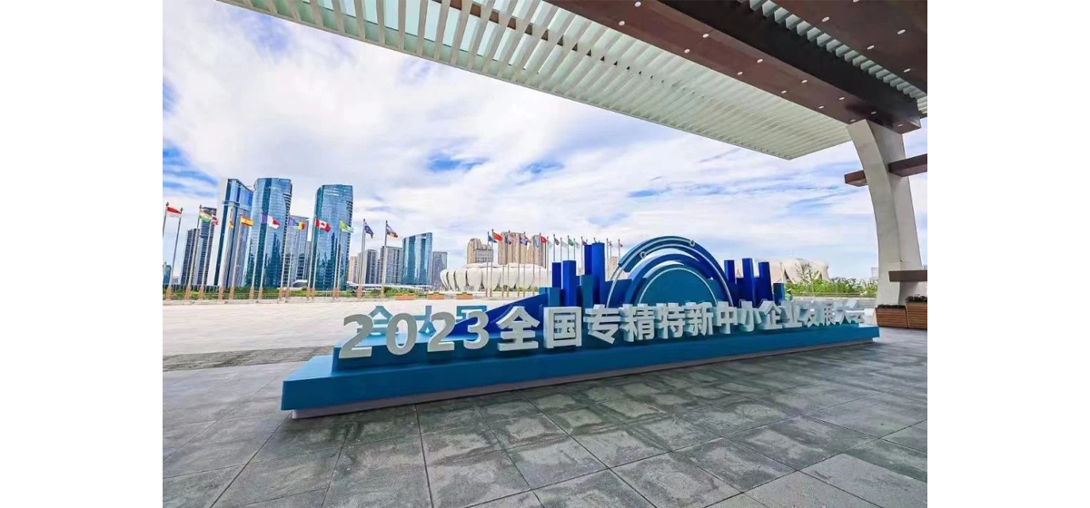 什么是“专精特新”小巨人？简单点说，就是“潜力版”的世界500强！
